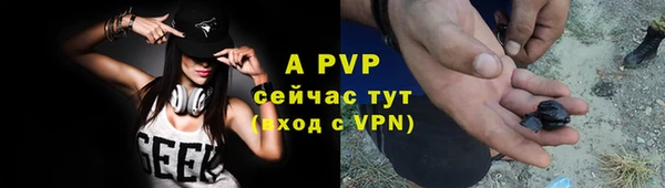 PSILOCYBIN Волосово