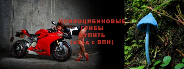 винт Верхний Тагил