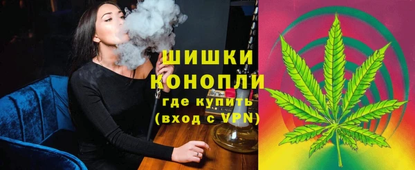 PSILOCYBIN Волосово