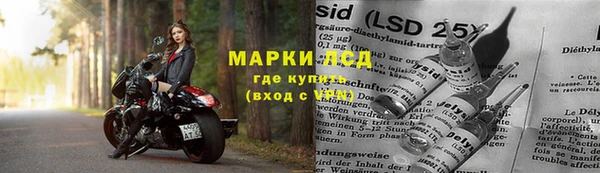 PSILOCYBIN Волосово